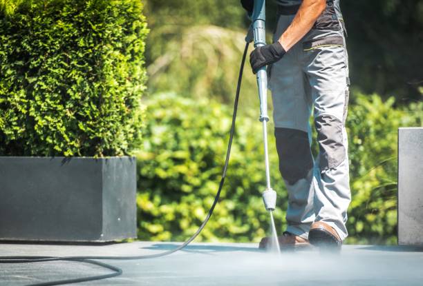 Best Sidewalk and Walkway Cleaning  in Farmersville, TX
